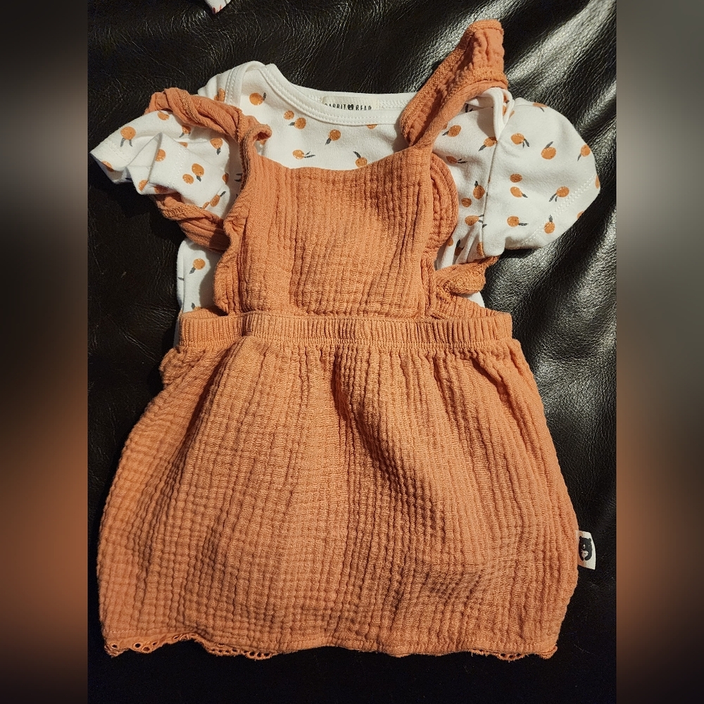 Rabbit Bear Bodysuit With Dress 24 Mo